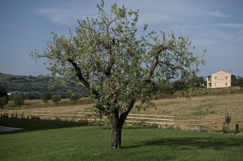 Moresco Agriturismo Exterior foto